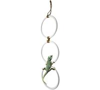 Swing Hoop Toy with Chain for Reptile Tank, Interactive Snake Playground Accessory, Hanging Enrichment for Amphibian Habitat, Indoor Pet Climbing Fixture, 11.4x42cm