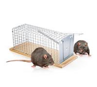 SWISSINNO Jaula para Ratas, Construida en madera y metal, Atrapar + soltar, Diseño seguro, Uso interior y exterior, Segura para niños y mascotas, Fabricado en Europa: 1x Trampa