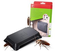 SWISSINNO Trampa para Cucarachas e Insectos Rastreros - con Cebo Alimenticio - Eficaz contra Cucarachas, Escarabajos, Lepismas, Arañas y Más - 2 Unidades - Uso Interior - Lista para Usar