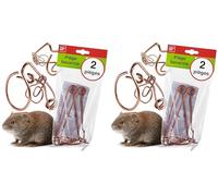 SWISSINNO Trampa para topillos Forma bávara de Cobre - Trampa de Alambre para galerías subterráneas - Mecanismo Potente y fiable - Reutilizable para jardín y huerto - 2 Unidades (Paquete de 2)