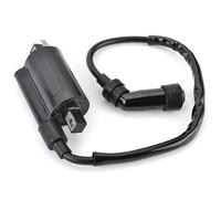 Switch De Ignición para Suzuki para AN250 Burgman 250/Skywave 250 AN400 Burgman 400 Skywave 400 TU125 GN125 GS125 DF125 Conjunto Bobina Encendido Motocicleta Interruptor De Encendido