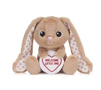 Swizzels Love Hearts - Peluche de conejo de peluche (18 cm)