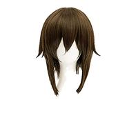 Sword Art Online Asada Shino Wig Dark Brown Sinon Heat Resistant Synthetic Hair Anime Cosplay Wig + Wig Cap