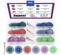 Swpeet - Juego de discos de pulido de disco abrasivo con vástago de 1/8 pulgadas para herramientas rotativas de limpieza y desbarbado (66 unidades, grano mixto 80/120/220/400/600/1000)