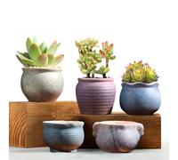 Swsdee Maceta Suculenta,Macetas Decorativas de Cerámica,Maceta Cactus y Suculentas, con Agujero de Drenaje,para Plantas de Interior/Exterior, Flores, Cactus, Decoración del Hogar del Jardín