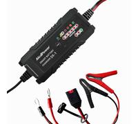 SX-1 Cargadores Bateria Profesional Coche SMART 6V Y 12V Plomo Y LiFePO4 Con App