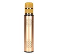 Sxhlseller Receptor de Micrófono con Micrófono Inalámbrico Portátil para KTV Externo, Fibra Q6, 1 Unidad (Gold)