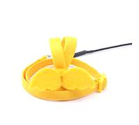 Sxmrmnx Correa amarilla para pájaros y loros para exteriores, ajustable, cuerda de entrenamiento, banda antimordeduras, suave y cómoda correa para loros