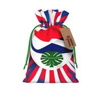 SXOOGE Bolsa de regalo de la bandera de Costa Rica con asas y etiqueta, perfecta para Navidad, vacaciones, cumpleaños, boda o regalo diario
