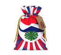 SXOOGE Bolsa de regalo de la bandera de Costa Rica con asas y etiqueta, perfecta para Navidad, vacaciones, cumpleaños, boda o regalo diario