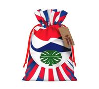 SXOOGE Bolsa de regalo de la bandera de Costa Rica con asas y etiqueta, perfecta para Navidad, vacaciones, cumpleaños, boda o regalo diario