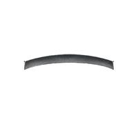 SXRegalium Alerón Trasero para Maletero de BMW Serie 1 E82 Coupé 120i M1 (2008, 2009, 2010, 2011, 2012, 2013), Protector de Labio Superior del Techo (Monocolor)