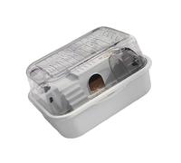 SXRQ Jaula transparente para animales pequeños con rueda de ejercicio silenciosa, plataforma desmontable de enriquecimiento de mascotas para ejercicio de mascotas, hámster con zona de actividad