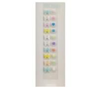 SXTYYH Acupuncture Semillas De Oreja for Un Cuidado Holístico Incluye Semillas Auriculares De Acero Inoxidable for Desintoxicación, Masaje De Oídos Acupuntura Semillas Prensa Orejas(20PCS)