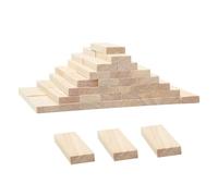 Sxutop 60 Piezas Bloque Madera Rectangular Bloques de Talla de Madera Bloque Sin Terminar Bloques Tilo para Tallar Rectangular Listones madera para Manualidades Bricolaje Decoración, 6x2.3x0.8 cm