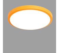 sxysxysxy LED Dormitorio lámpara de Techo Moderno Alrededor Panel Niños Plafón Techo acrílico Lámparas de Cocina 18W Iluminación cenital Luz Blanca 6000K Corredor balcón Sala Entrada Ø27cm,Naranja