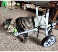 SYFNLPH Silla de Ruedas de 2 Ruedas for Perros y Gatos, Ajustable, con Ruedas for Cachorros lesionados, Ligera y fácil de Usar, Ideal for la rehabilitación de la Movilidad de Mascotas Mayores.(S)