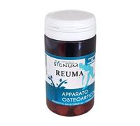 Sygnum Reuma 60comp