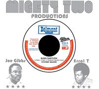 Sylford Walker - Burn Babylon [Vinilo]