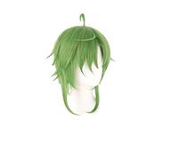 Sylphiette Greyrat Cosplay Jobless Reincarnation Cosplay Mushoku Tensei Green Wig Cosplay Anime Heat Resistant Synthetic Wigs