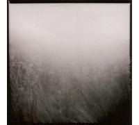 Sylvain Chauveau - Black Book of Capitalism [Vinilo]