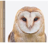 Sylvain Chauveau / Pierre-Yves Mace - L'Effet Rebond (Version Silicium / Version Iridium)