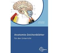 Sylvana Bardl Anatomie Zeichenblätter: für den Unterricht (Tapa blanda)
