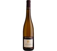 Sylvaner Grand Cru Zotzenberg 2022 - Domaine Boeckel