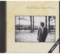 Sylvian David - Brilliant Trees