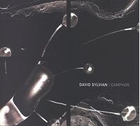 Sylvian, David - Camphor