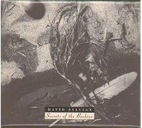 Sylvian, David - Secrets Of The Beehive (Digipak)