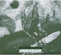 Sylvian,David - Secrets of The Beehive [Import]