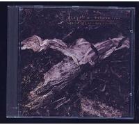 Sylvian - Plight & Premonition