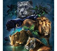 SYMON Kit completo de punto de cruz, Tigres, leopardos y leones, 11CT lienzo punto de cruz, debutante bordado punto de cruz, 40 × 40 cm