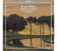 Symphonie En Ré Mineur