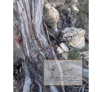 Synagogue Services for Weekdays, Shabbat and Festivals: Translated and Transliterated, with Helpful Instructions and Notes