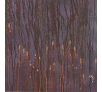 Synapscape / Asche - Scenes From A Galtons Walk