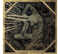 Synapse Misfire - Losing The War Against The Sands Of Time