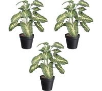 Syngonium Pixie artificial maceta de plástico, UE 3 unid.
