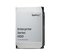 Synology HAS5310-20T - Disco Duro