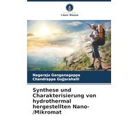 Synthese und Charakterisierung von hydrothermal hergestellten Nano-/Mikromat
