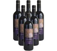 Syrah Maremma Toscana DOC Poderi Firenze (6 botellas 75 cl.)