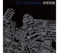 System – Self-Organising System – CD – Progress