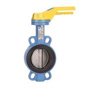 Syveco 1141065 Serie 1141 - Válvula de cierre de acero inoxidable/hierro fundido, cuerpo de hierro fundido EN GJS500-7, manguito NBR, PN10/16, M65