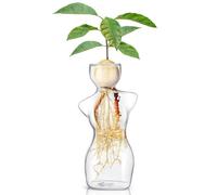 Syzplnwy Jarrón de aguacate: vidrio de borosilicato para germinación de semillas e hidroponía, seguro para agua salada con bordes pulidos, decoración compacta para el hogar y la oficina (normal)