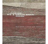 Szilard Mezei Tul A Tiszan Innen Ensemble - Nem fustol a zentaji gyar kemenye