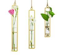 Sziqiqi Creativo Jarrón De Vidrio De Hierro, Contenedor Colgante De Agua, Tubo De Ensayo De Vidrio como Florero Colgante, Decoración De La Planta Colgante para Sala De Estar, Oro