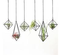 SZRUIZFZ Tillandsia - Colgador de Metal Negro para Plantas de Aire, Soporte único y Moderno con Cadenas para decoración de Pared del hogar, decoración geométrica de octaedro Himmeli, Regalos de