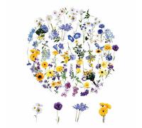 SZSMW 160fotosscrapbooking Materiales - Pegatinas Scrapbooking - Pegatinas Floresadecuado Para Diarios, Postales, Tarjetas De FelicitacióN, DecoracióN De Tarjetas De InvitacióN