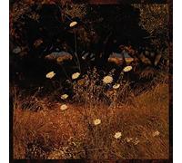 Szun Waves - Earth Patterns [Vinilo]